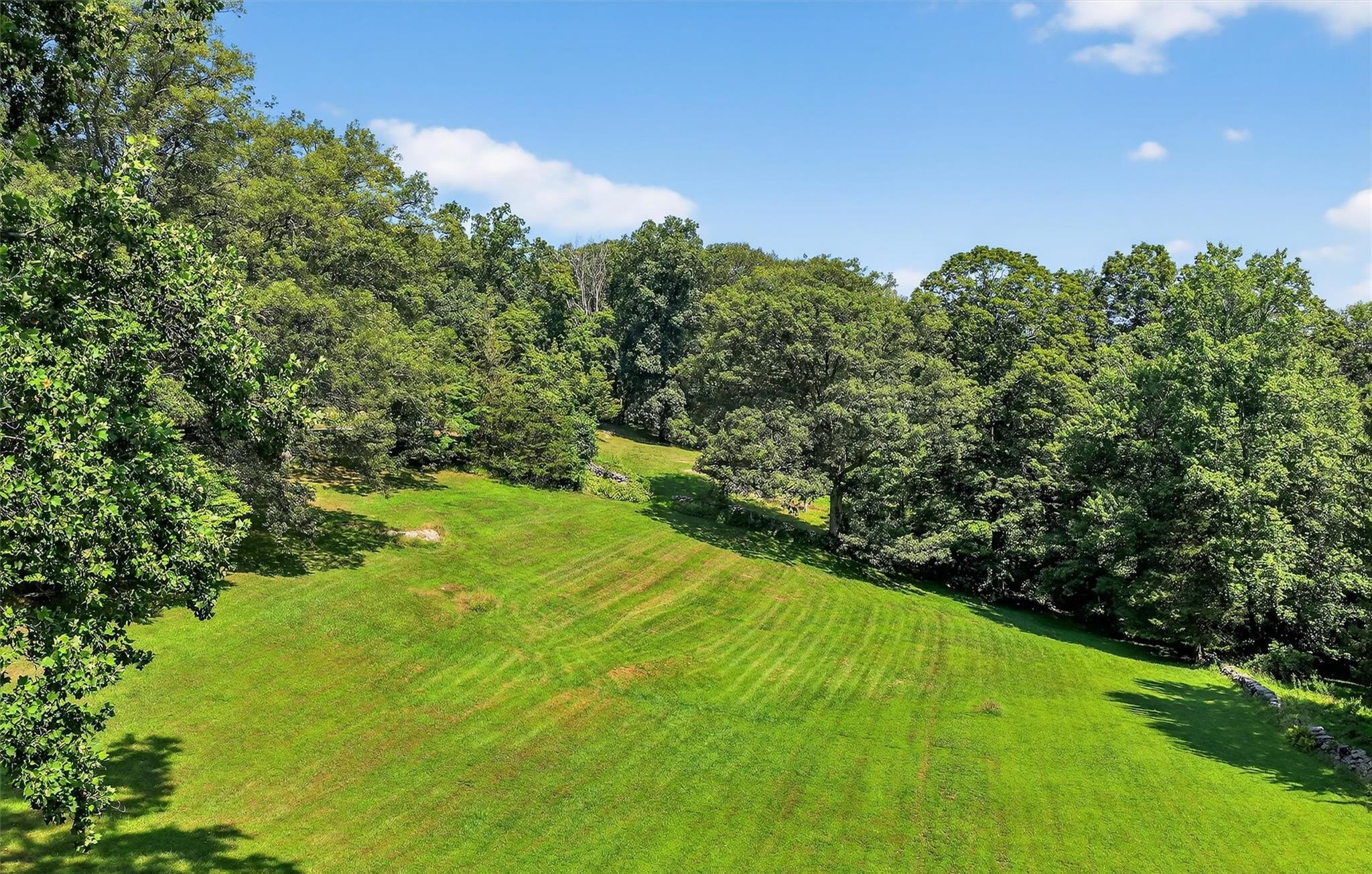 Aerial view of the pastoral meadow and grounds